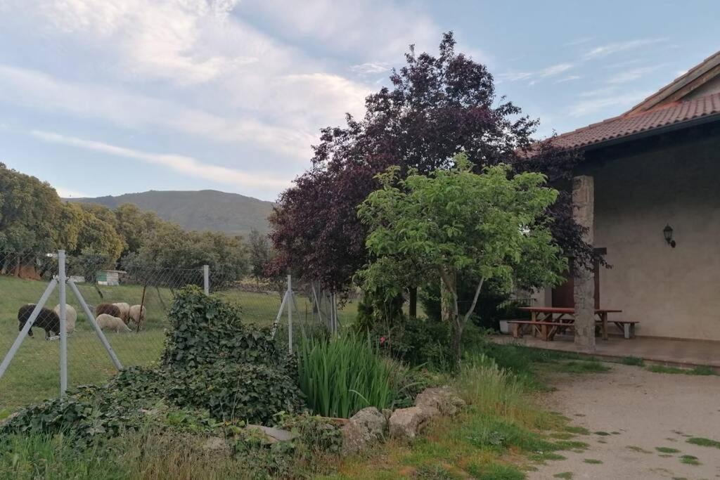 Casa Namaste - Ortigosa Del Monte Villa ภายนอก รูปภาพ